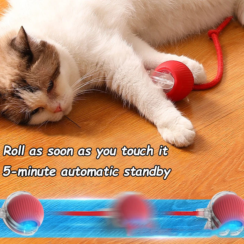 PATTOO - Balle Ludique pour Chat