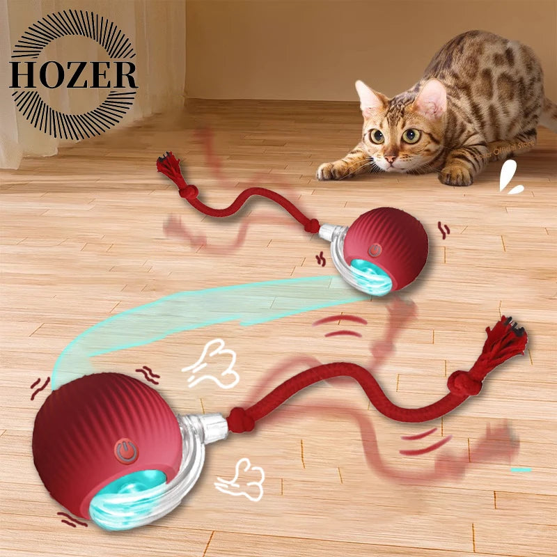 PATTOO - Balle Ludique pour Chat
