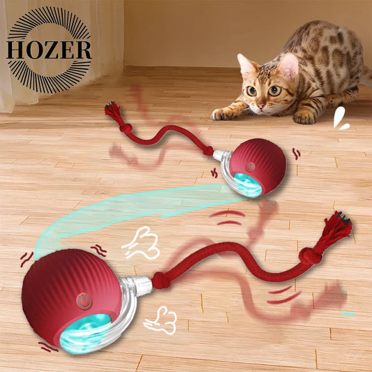 PATTOO - Balle Ludique pour Chat