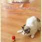 PATTOO - Balle Ludique pour Chat