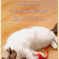 PATTOO - Balle Ludique pour Chat
