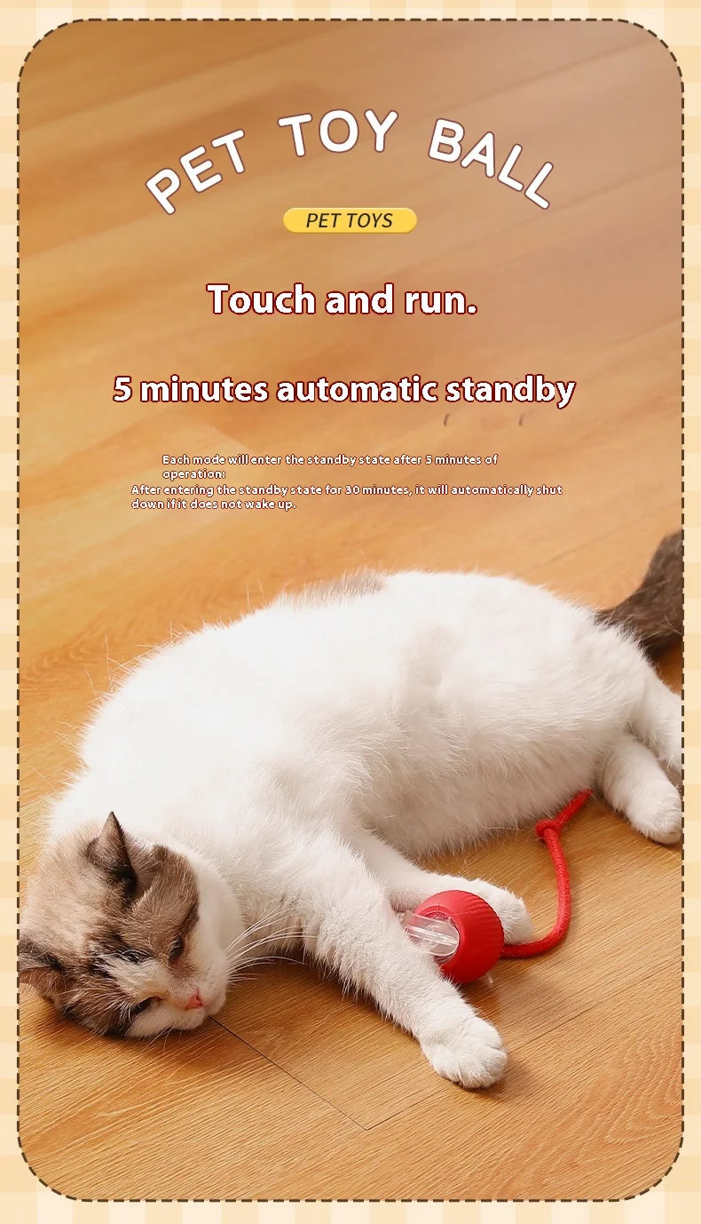 PATTOO - Balle Ludique pour Chat